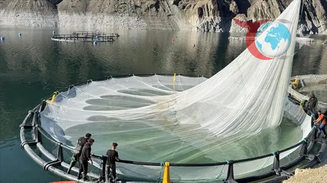 Türk Somonunun Artvin'deki Yükselişi ve Ekonomik Katkıları