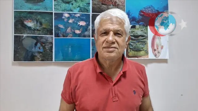 Küresel Isınmanın Akdeniz Ekosistemine Etkileri: Tropikal Türler ve Ekonomik Fırsatlar