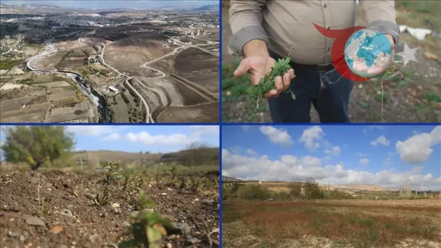 Asi Nehri'nin Kurumasıyla İdlib'de Tarım Krizi Derinleşiyor