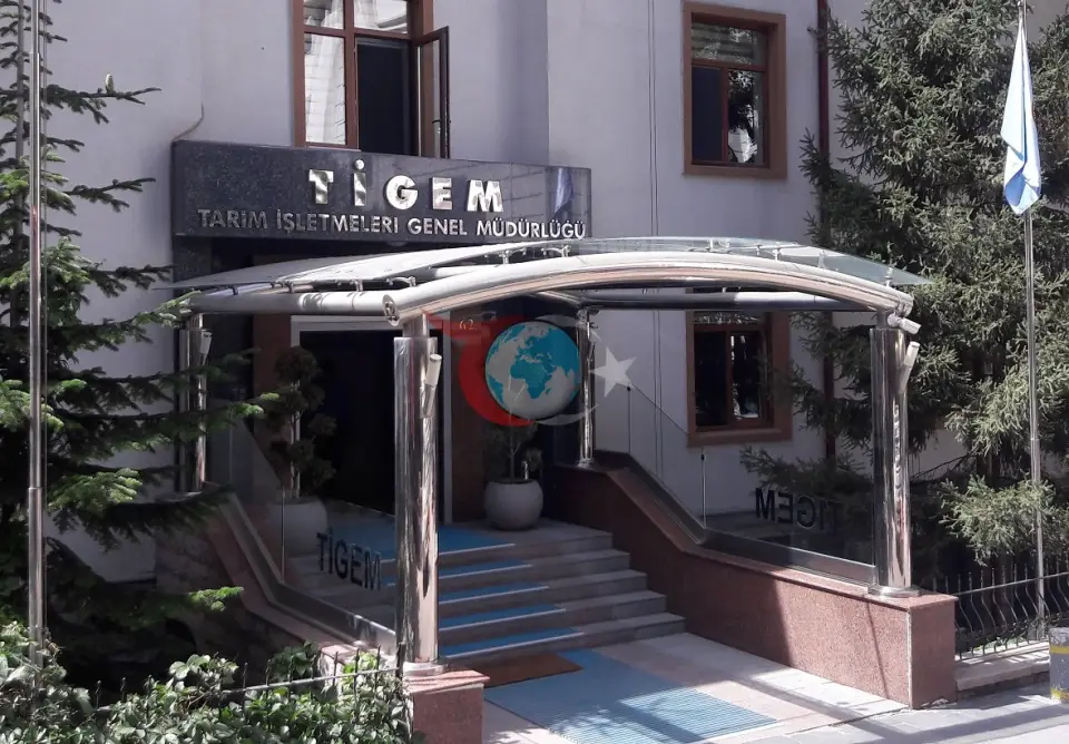 TİGEM Altınova Tarım İşletmesi 13 bin ton buğday ve 1500 ton arpa satışı için ihaleye çıkıyor