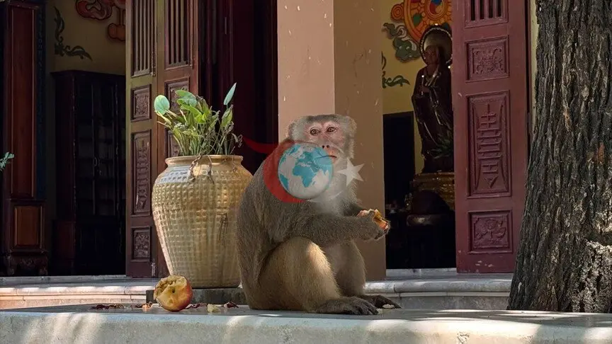 Vietnam'daki Linh Ung Pagodası'nda vahşi yaşam ile turizm iç içe