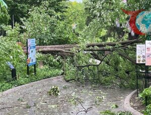 5 Bin Yapıya Zarar Veren Fırtına ve Kasırga!