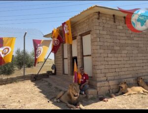 Ahmet Akbey’in Aslanlarıyla Kutladığı Galatasaray’ın Şampiyonluğu