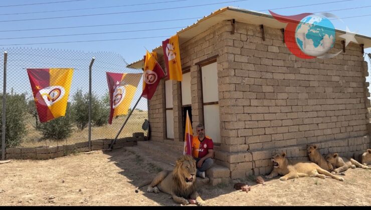 Ahmet Akbey’in Aslanlarıyla Kutladığı Galatasaray’ın Şampiyonluğu