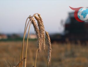 Ankara Yumaklı, Çiftçilere Destekleme Ödemelerini Duyurdu