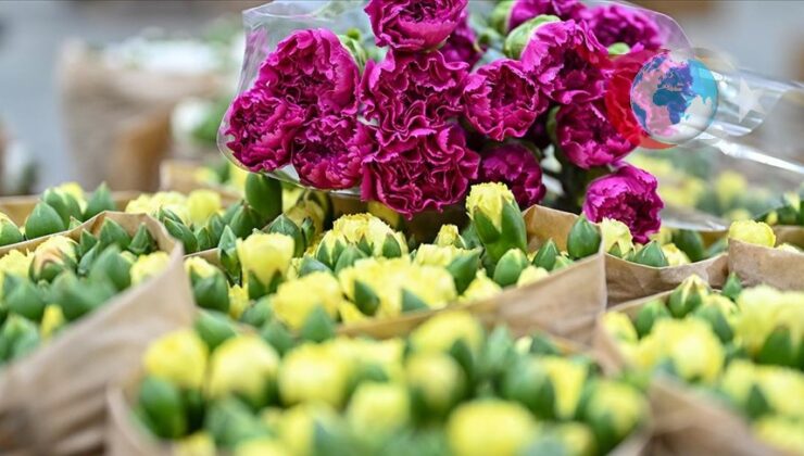 Antalya Bitkileri Dünyaya Açılıyor