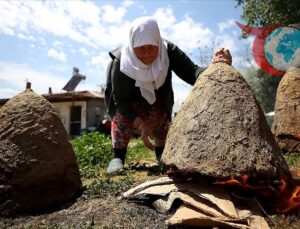Arıcılık Yapan Kadın: Arıları Çekmek İçin Melisa Otu Kullanıyor