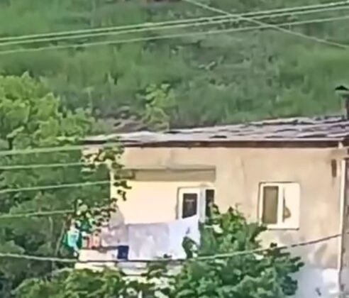 Ayıların Gümüşhane’deki Tehlikeli Yükselişi