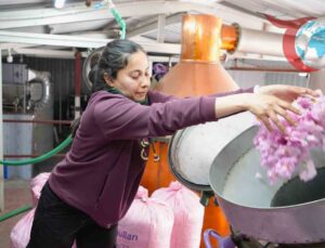 Burdur’un Karakent Köyünde Gül Üretimi Küresel Isınma ve Don Olaylarından Etkilendi