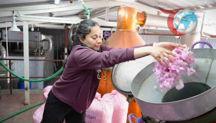 Burdur’un Karakent Köyünde Gül Üretimi Küresel Isınma ve Don Olaylarından Etkilendi