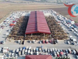 Çorum Kurban Bayramı Hazırlıkları: Kurban Pazarı ve Ücretsiz Servis Detayları