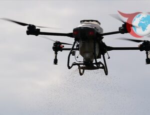 Çorum’un Bereketli Tarlalarında Dronla Çeltik Ekimi