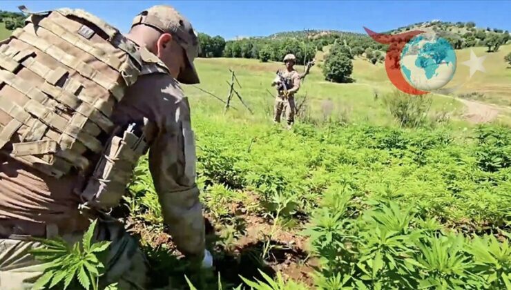 Diyarbakır’da Uyuşturucu Operasyonu: 174 Ton Esrar Ele Geçirildi