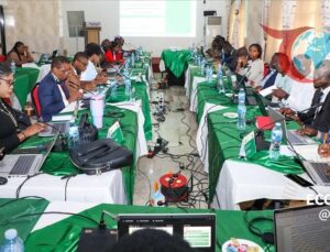 ECOWAS Ülkeleri Dijital Kalkınma Toplantısında Buluşuyor