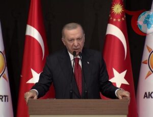 Erdoğan: Yerel Yönetimlerde Görev Karmaşası ve Ekonomik Zorluklar Üzerine