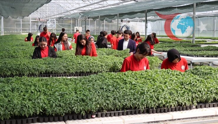 Erzincan Tarım Lisesi Öğrencilerinden Tarımda Büyük Başarı