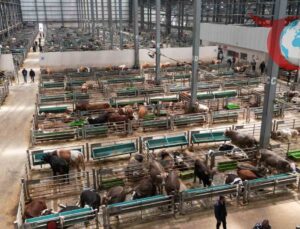 Erzurum’da Tarım ve Hayvancılıkta Büyük Devrim: Doğu Anadolu Canlı Hayvan Borsası