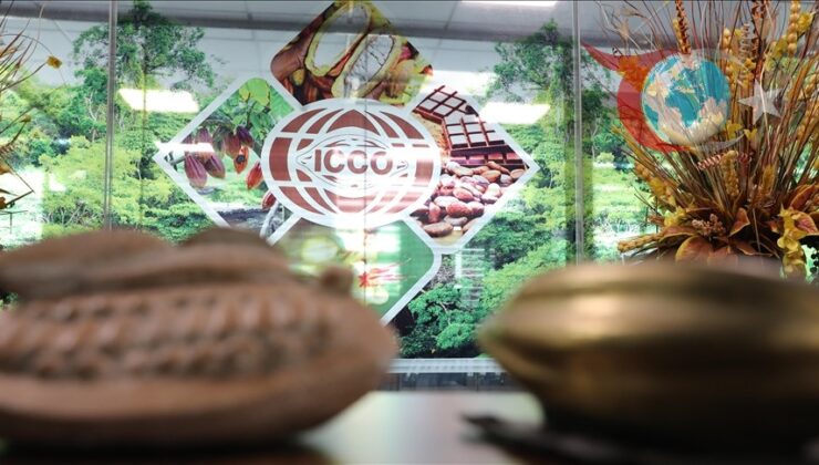 Fildişi Sahili’nde Kakao Üretimi ve İhracatı