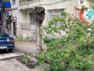 Fırtına Bilecik’te Hayatı Olumsuz Etkiledi