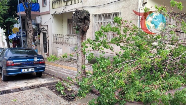 Fırtına Bilecik’te Hayatı Olumsuz Etkiledi