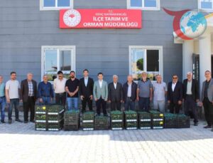 Genç İlçesinde Üreticilere 30 Bin Adet Sebze Fidesi Dağıtıldı