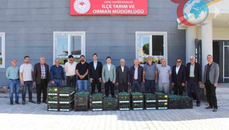 Genç İlçesinde Üreticilere 30 Bin Adet Sebze Fidesi Dağıtıldı