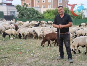 Hatay’da Kurban Bayramı Yoğunluğu: Küçükbaş Kurbanlıklar Rağbet Görüyor