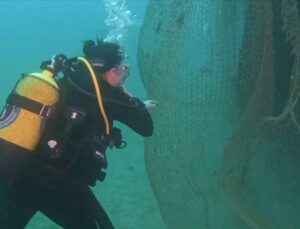 İzmir Kıyılarında Hayalet Ağ Temizliği Gerçekleştirildi