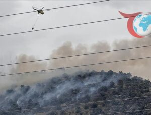 İzmir Zeytinlik Alanında Çıkan Yangın Kontrol Altına Alındı