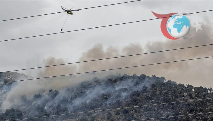 İzmir Zeytinlik Alanında Çıkan Yangın Kontrol Altına Alındı
