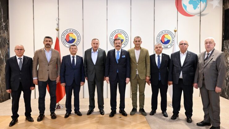 Karadeniz’de İstilacı Zararlılarla Mücadele: Kahverengi Kokarca Tehdidi