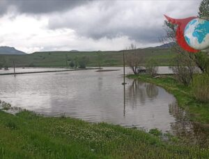 Karasu Nehri’nde Taşkın: Erzincan Tercan İlçesinde Zararlı Yağışlar