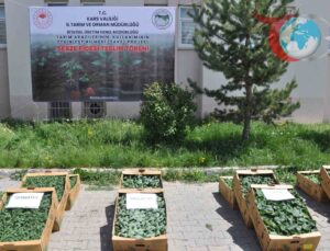 Kars İl Müdürlüğü Üreticilere Binlerce Sebze Fidesi Dağıttı