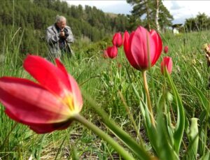 Keklik Deresi Eko Turizm Alanı Ziyaretçilerini Memnun Ediyor