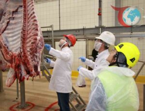 Kocaeli Büyükşehir Belediyesi Kurban Kesim Hizmeti Başvuruları Başladı