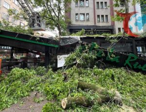 Kocaeli’de Şiddetli Rüzgarın Etkisi: Çınar Ağacı Devrildi!