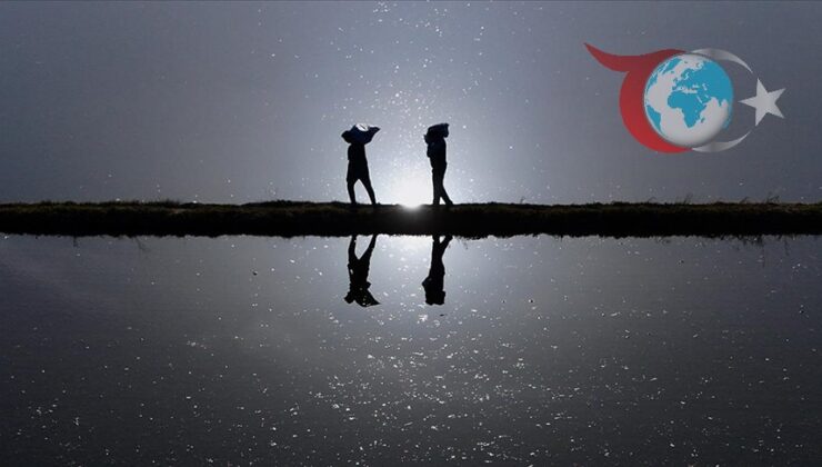 Konuralp Pirinci Üretiminde Artış Devam Ediyor