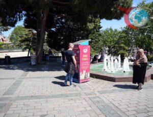 Martıların Kedileri Taklit Etmesi İstanbul’u Şaşırttı