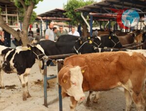 Muğla Valiliği Kurban Hizmetleri Komisyonu’ndan Yeni Kararlar