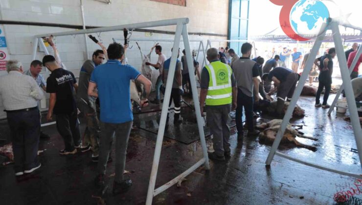 Odunpazarı Belediyesi’nden Ücretsiz Kurban Kesim Hizmeti