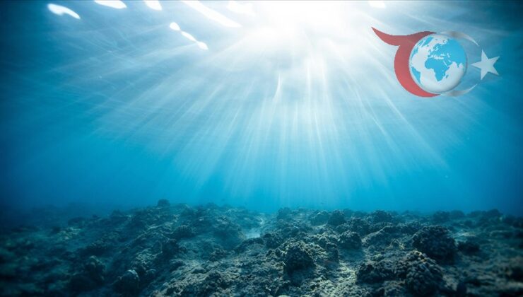 Okyanusun Fotik Bölgeleri ve Işık Derinliğindeki Azalma