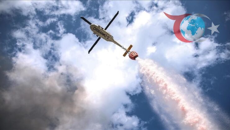 Orman Yangınlarıyla Mücadele Çalışmaları Hakkında Bilgiler