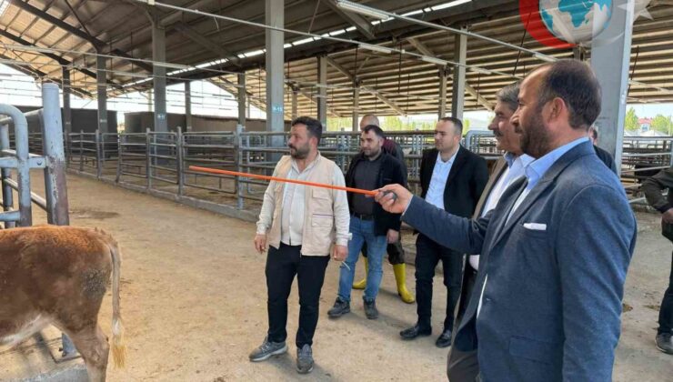 Patnos Belediyesi Kurban Bayramı Hazırlıklarını Tamamladı