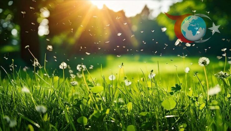 Polen Alerjisi: Baharın Getirdiği Zorluklarla Mücadele Yöntemleri