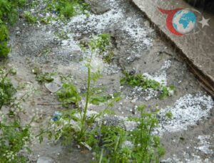 Posof’ta Ceviz Büyüklüğünde Dolu Sele Yol Açtı