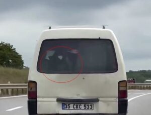 Sakarya’da ilginç bir görüntü