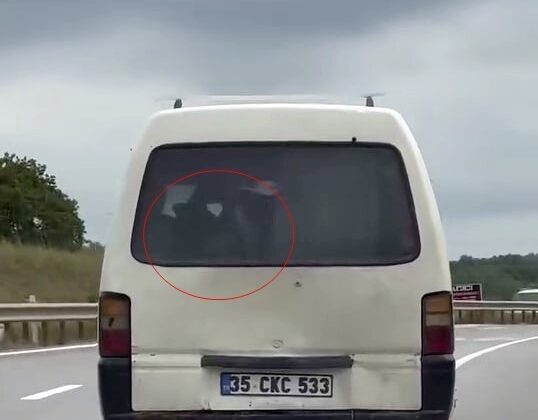 Sakarya’da ilginç bir görüntü