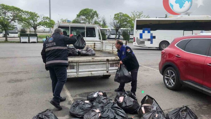 Samsun Belediyesi Zabıta Müdürlüğü, Sağlıksız Şartlarda Taşınan 500 Kilogram İç Yağına El Koydu