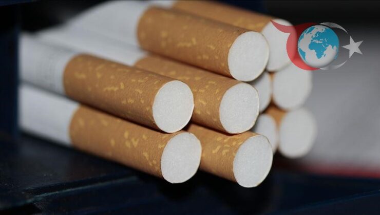 Sigara ve Elektronik Sigaranın Tehlikeleri Üzerine Uzman Uyarıları