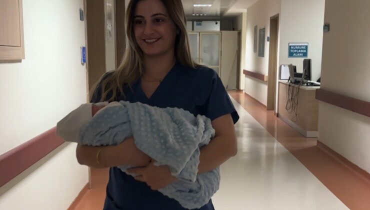 Siirt Doğum İstatistikleri 2024